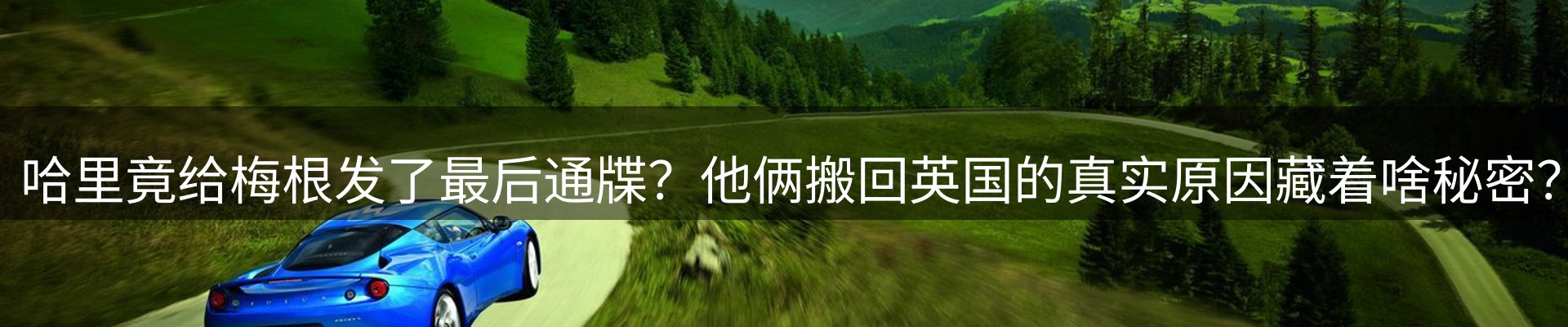 内页banner